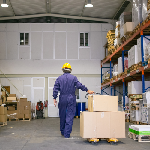 Internal audit process in manufacturing and warehouse by BuildMyInfra